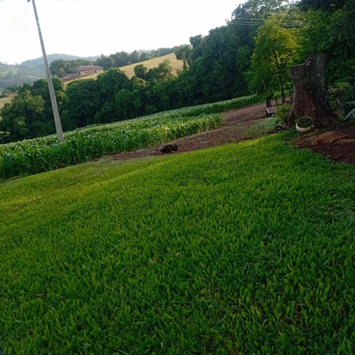ChÃ¡cara  rural com 12,100mÂ², com casa de aproximadamente 150,00mÂ², galpÃ£o de 10X9 e pomar de frutas. - ChÃ¡cara  rural com 12,100mÂ², com casa de aproximadamente 150,00mÂ², galpÃ£o de 10X9 e pomar de frutas.